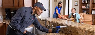 Best Residential Pest Control  in Aquebogue, NY